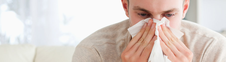 Allergies-Hayfever Allergies-Hayfever